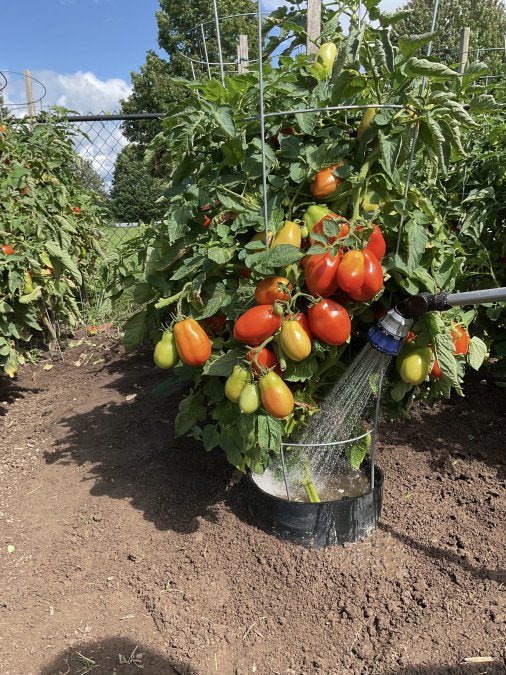 How to Keep Garden Soil Moist: 7 Proven Methods