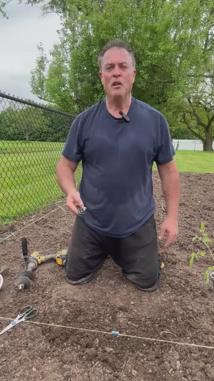 Planting a Tomato Plant